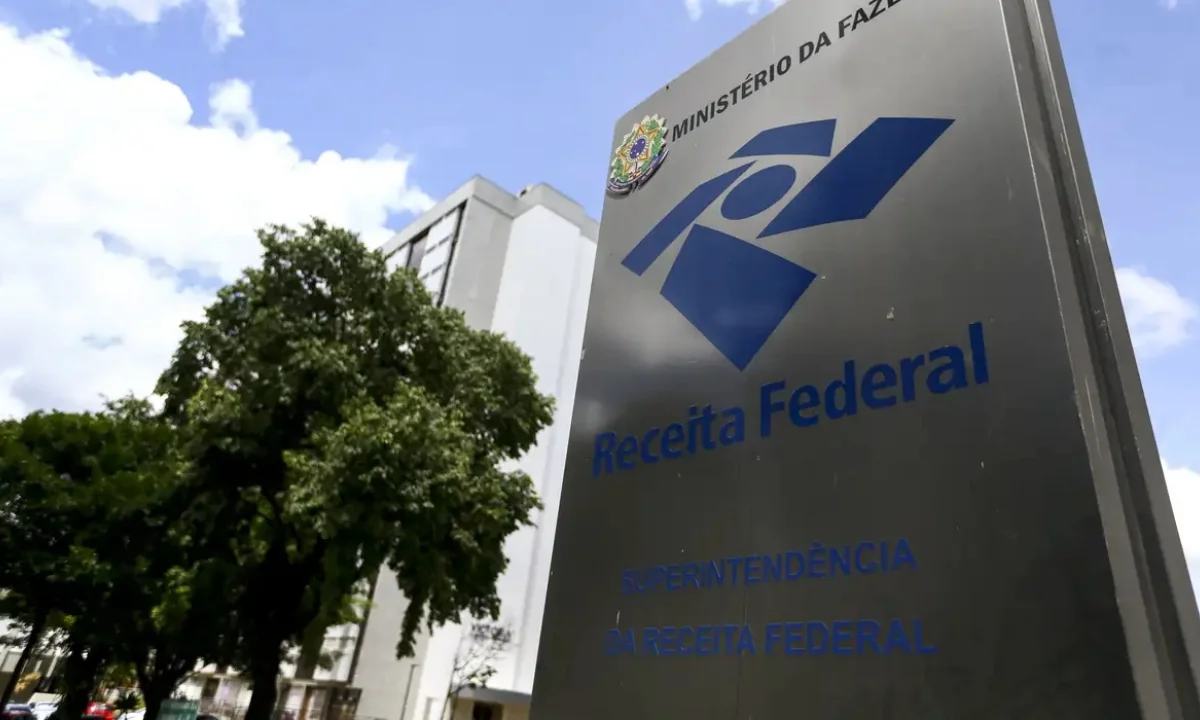 Malha fina em 2024